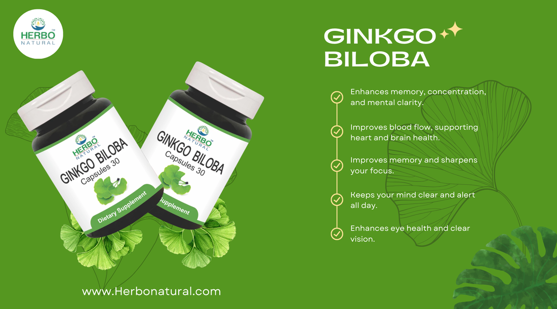 Ginkgo Biloba