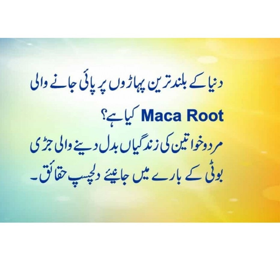 Maca Root for Men