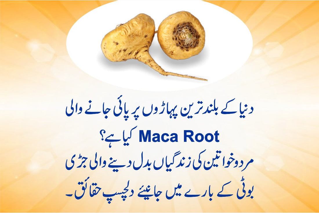 Maca Root for Women