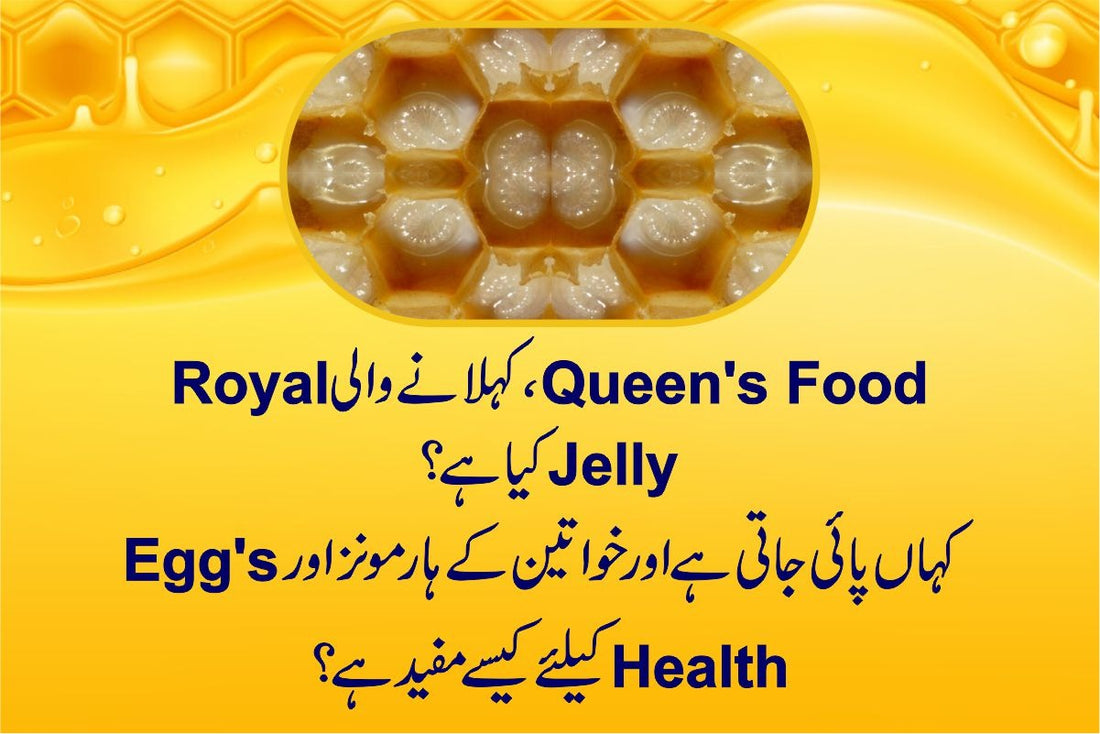 Royal Jelly – A Fertility Super Food