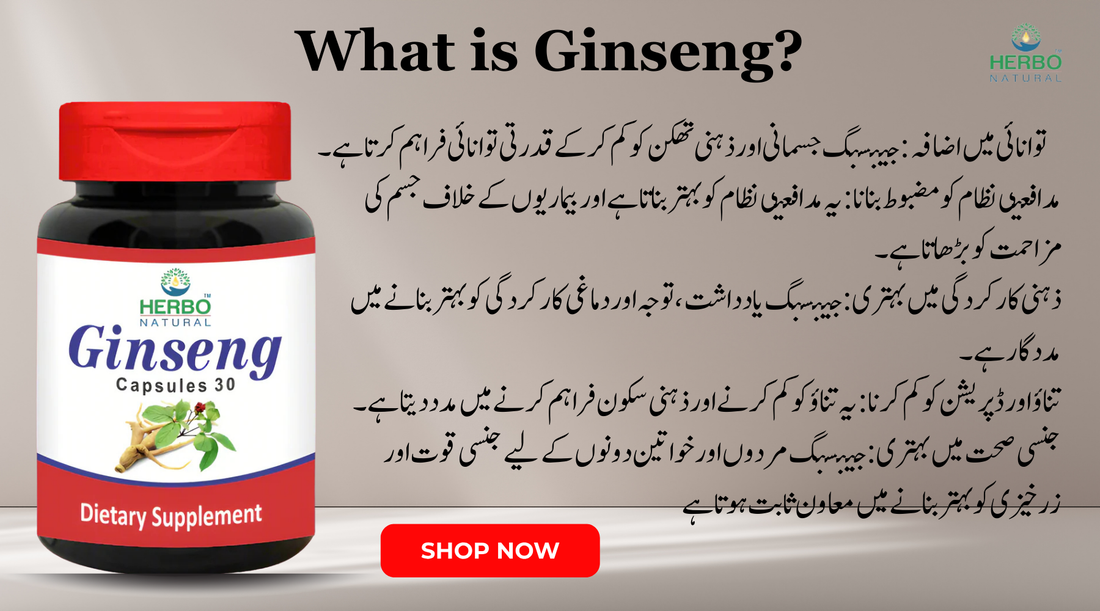 What is Ginseng?