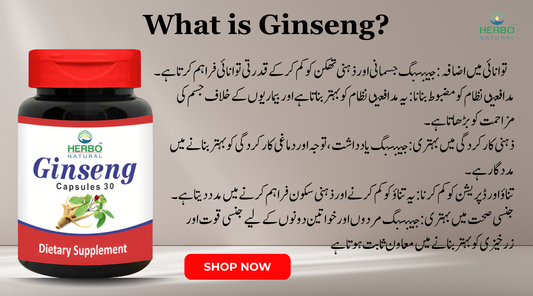 What is Ginseng?