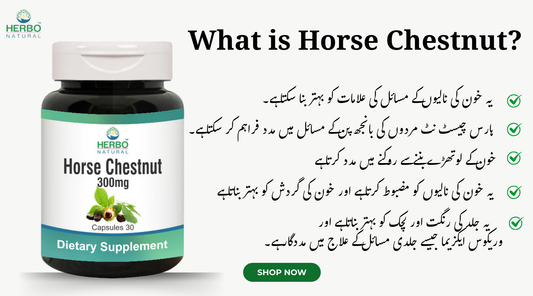 What is Horse Chestnut?