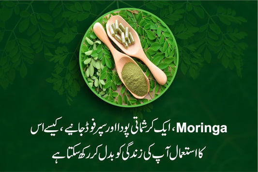 What is Moringa?