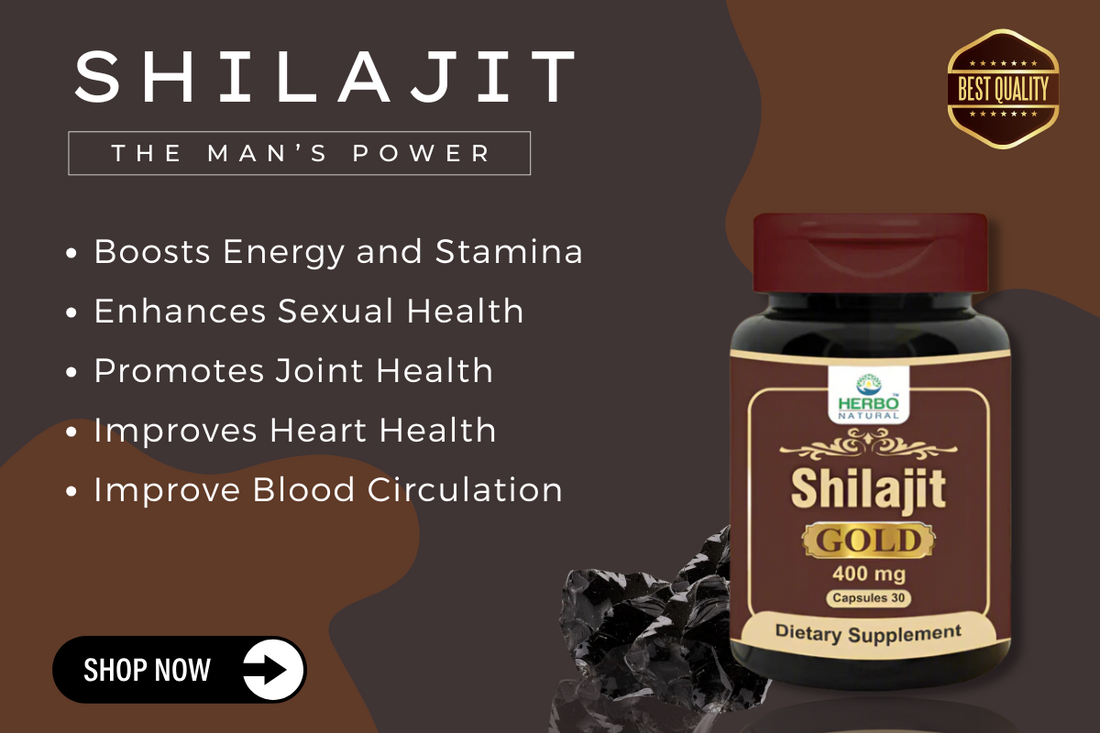 What is Shilajit?