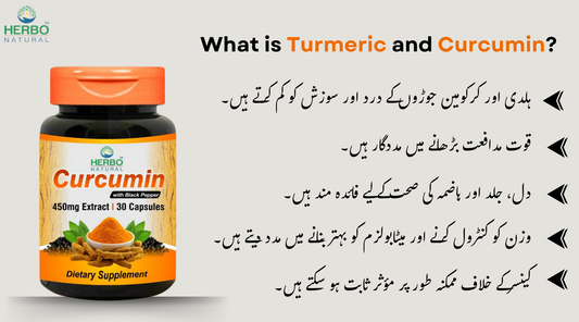 What is Turmeric and Curcumin?