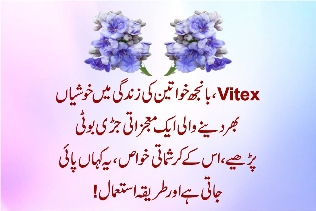 What is Vitex?