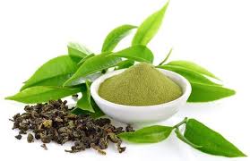 What is Green tea?