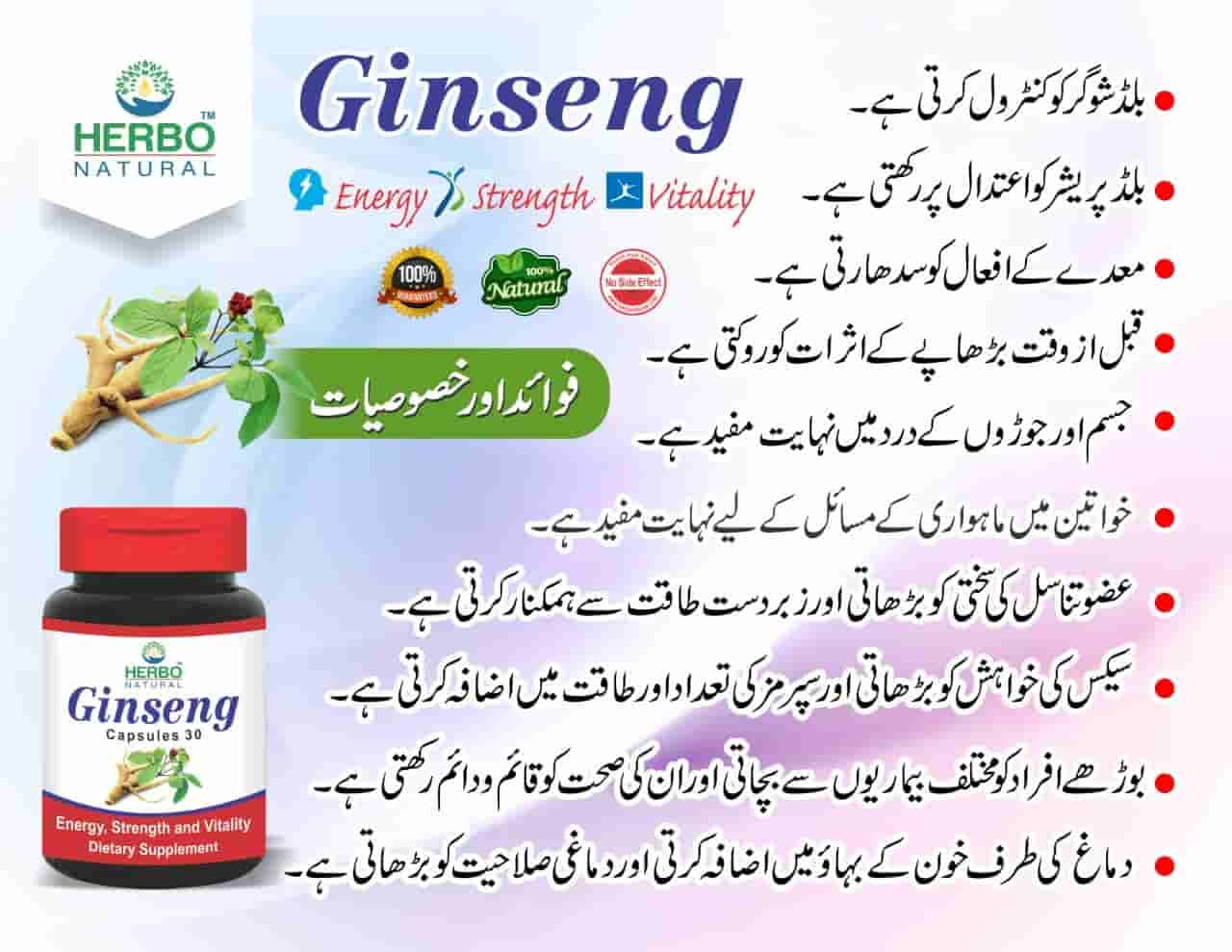 Ginseng Capsules