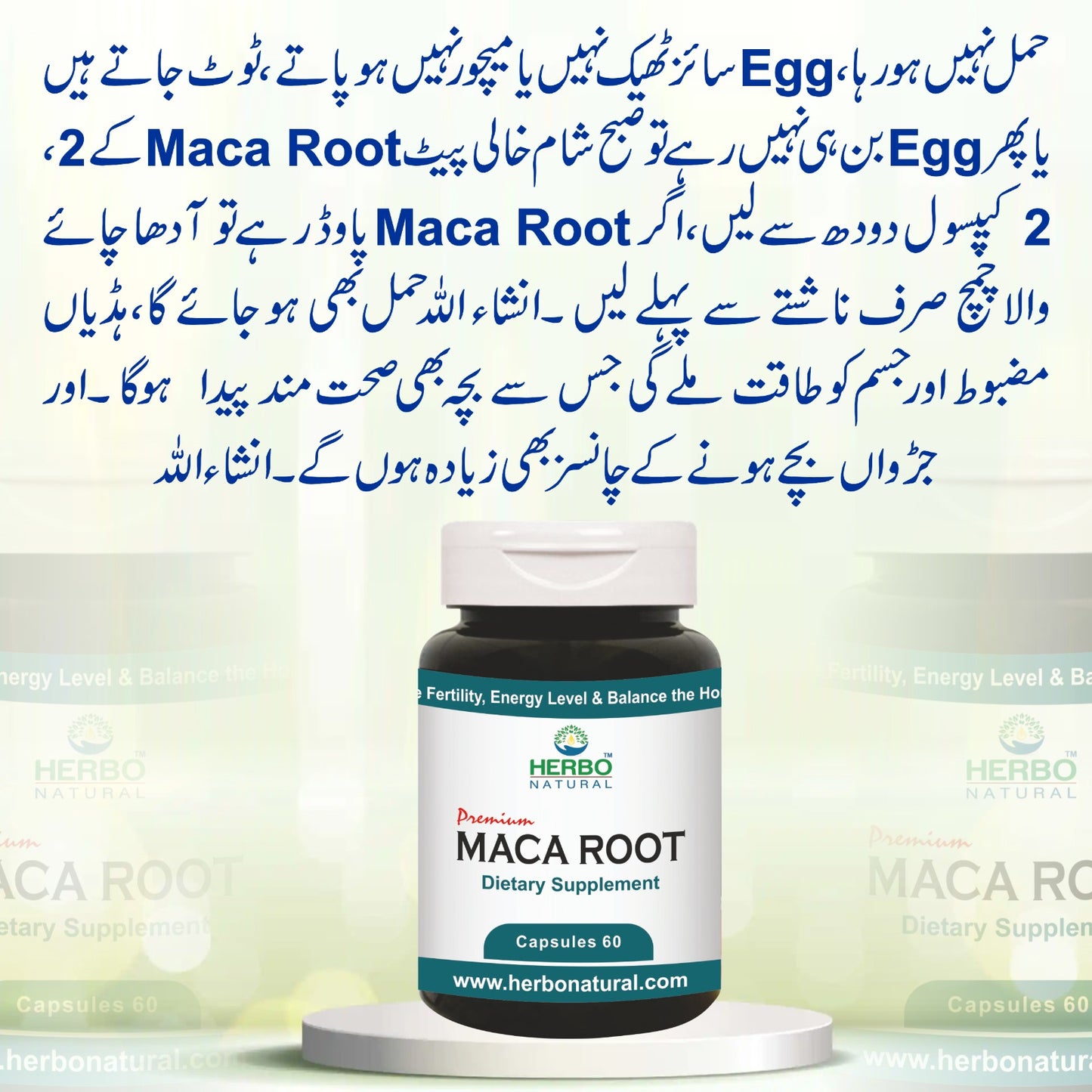 Maca Root Capsules