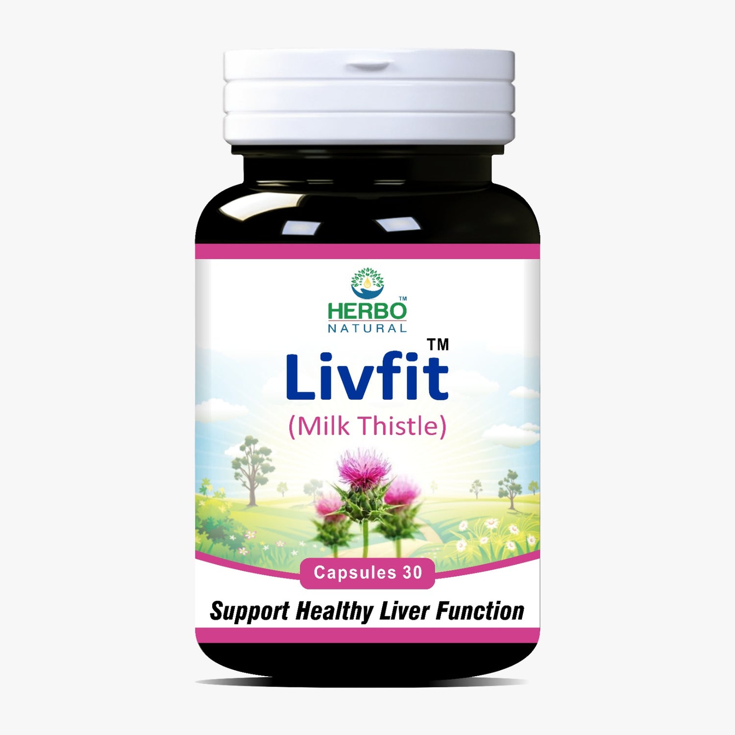 Milk Thistle Tablets in Pakistan