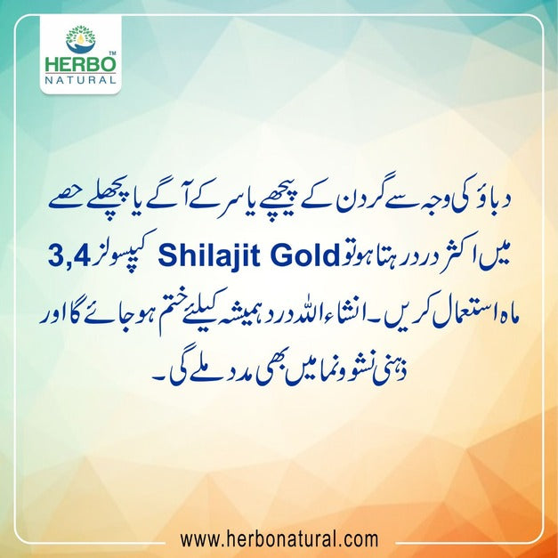 Shilajit Gold Capsules