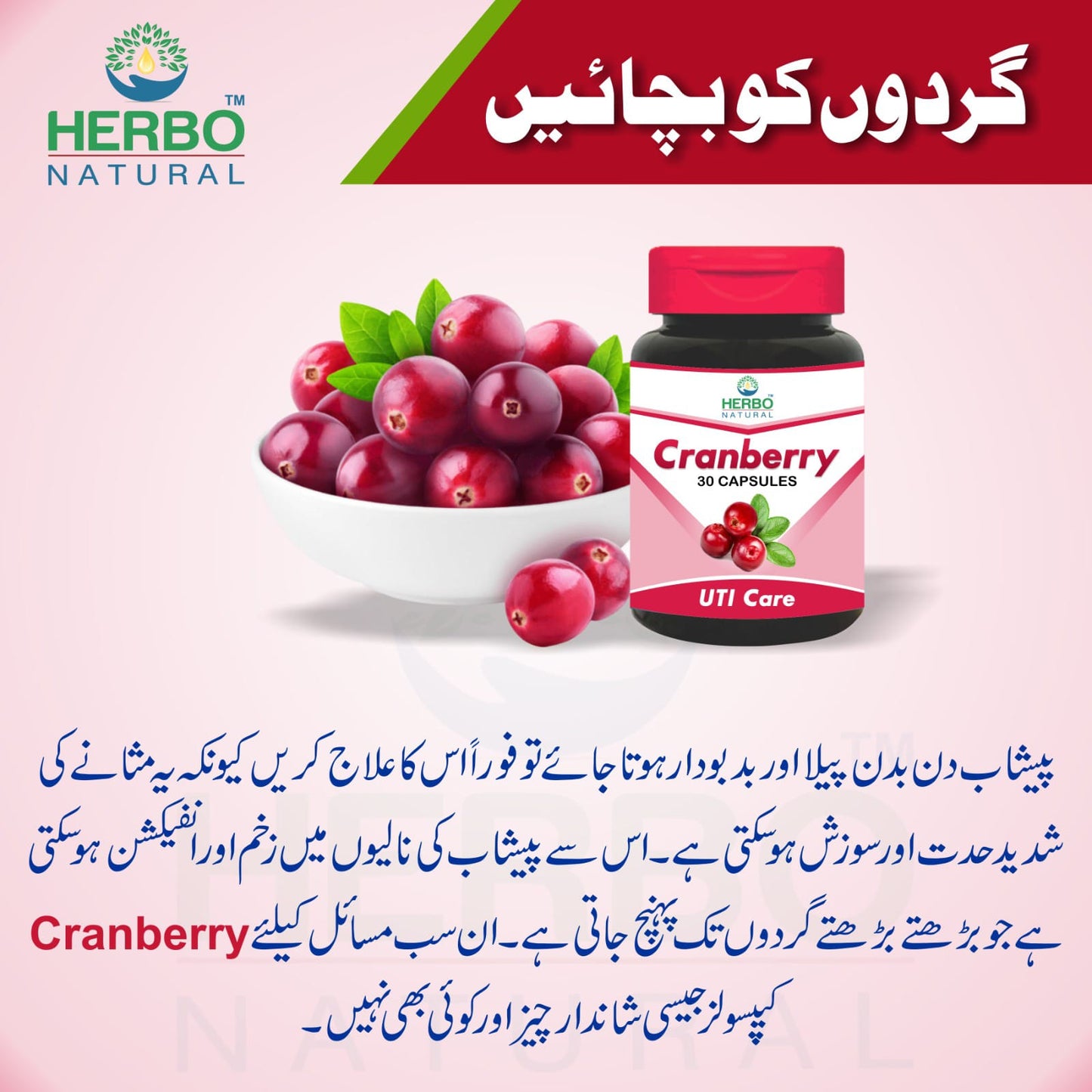 Cranberry Capsules